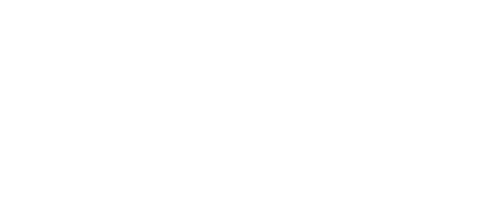 Sentinel Silver